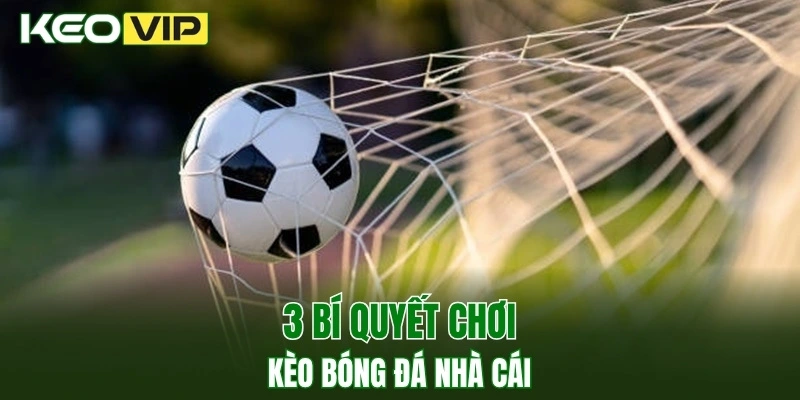 Kèo Bóng Đá Nhà Cái - Học Cách Soi Chuẩn Từ Chuyên Gia 3 3 bí quyết chơi kèo bóng đá nhà cái