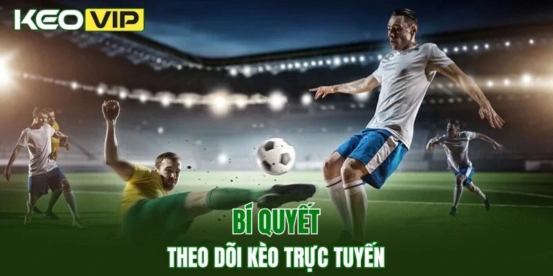 Keo Truc Tuyen - Cách Bắt Kèo Chuẩn, Thắng Lớn Mỗi Ngày 3 Bí quyết theo dõi keo truc tuyen