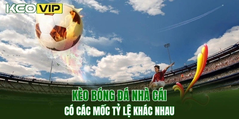 Kèo Bóng Đá Nhà Cái - Học Cách Soi Chuẩn Từ Chuyên Gia 1 Kèo bóng đá nhà cái có các mốc tỷ lệ khác nhau